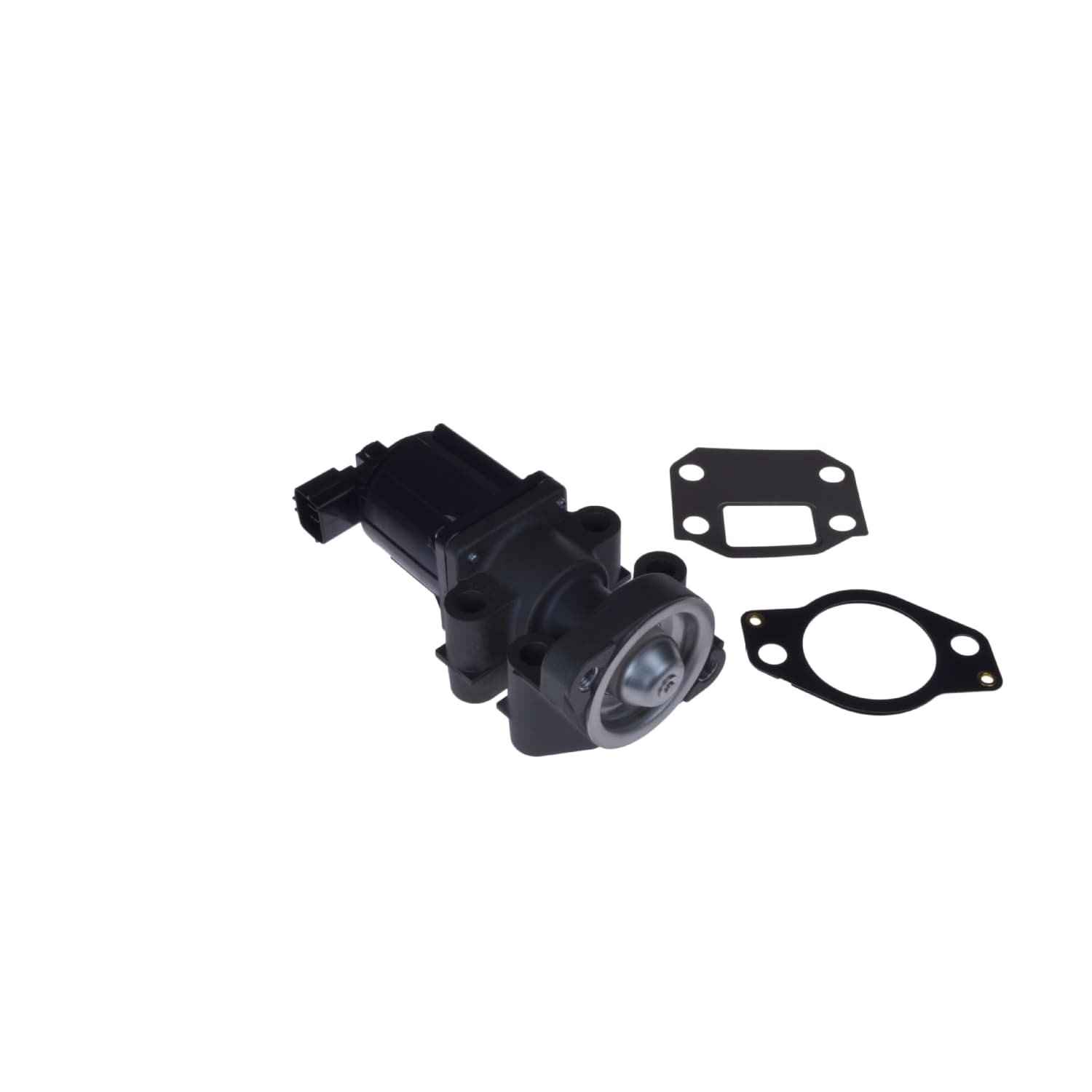 ADC47219_1.jpg