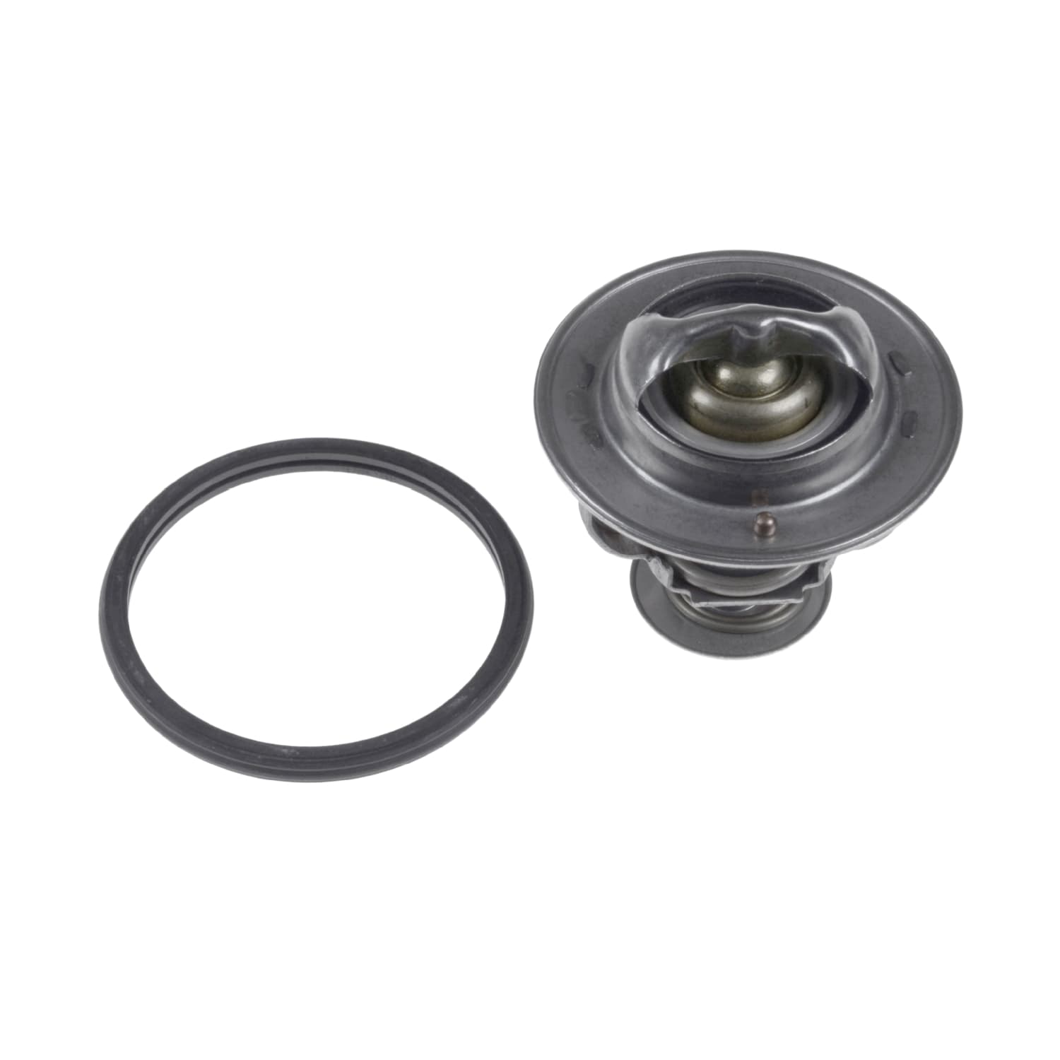 ADC49228_1.jpg