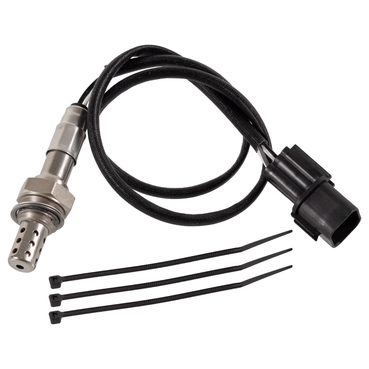 ADC47040_1.jpg