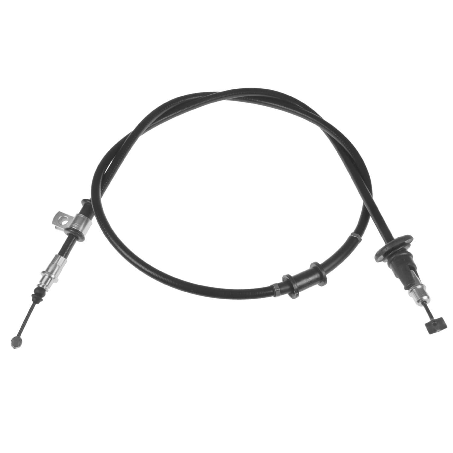ADC446202_1.jpg