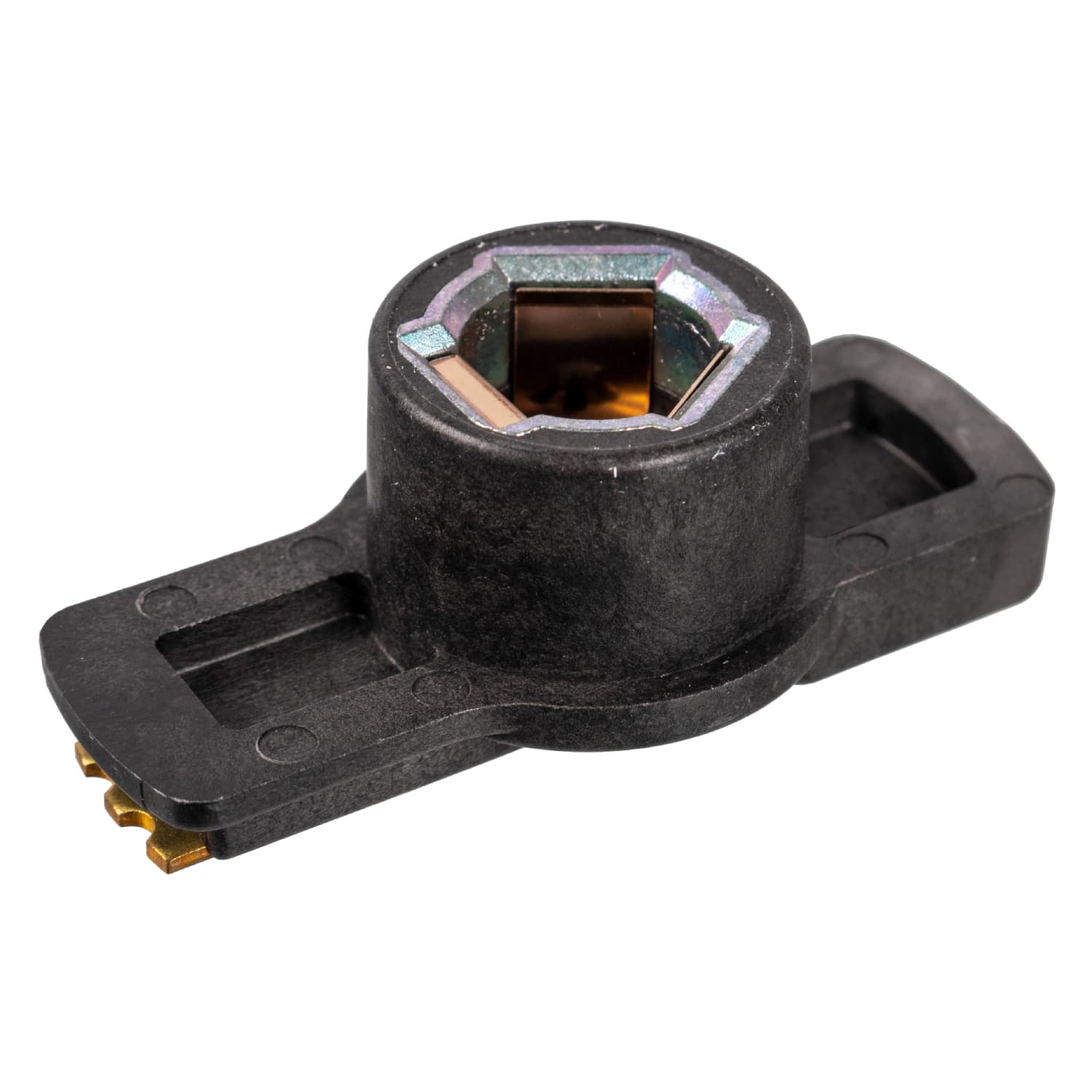 ADC41437_1.jpg