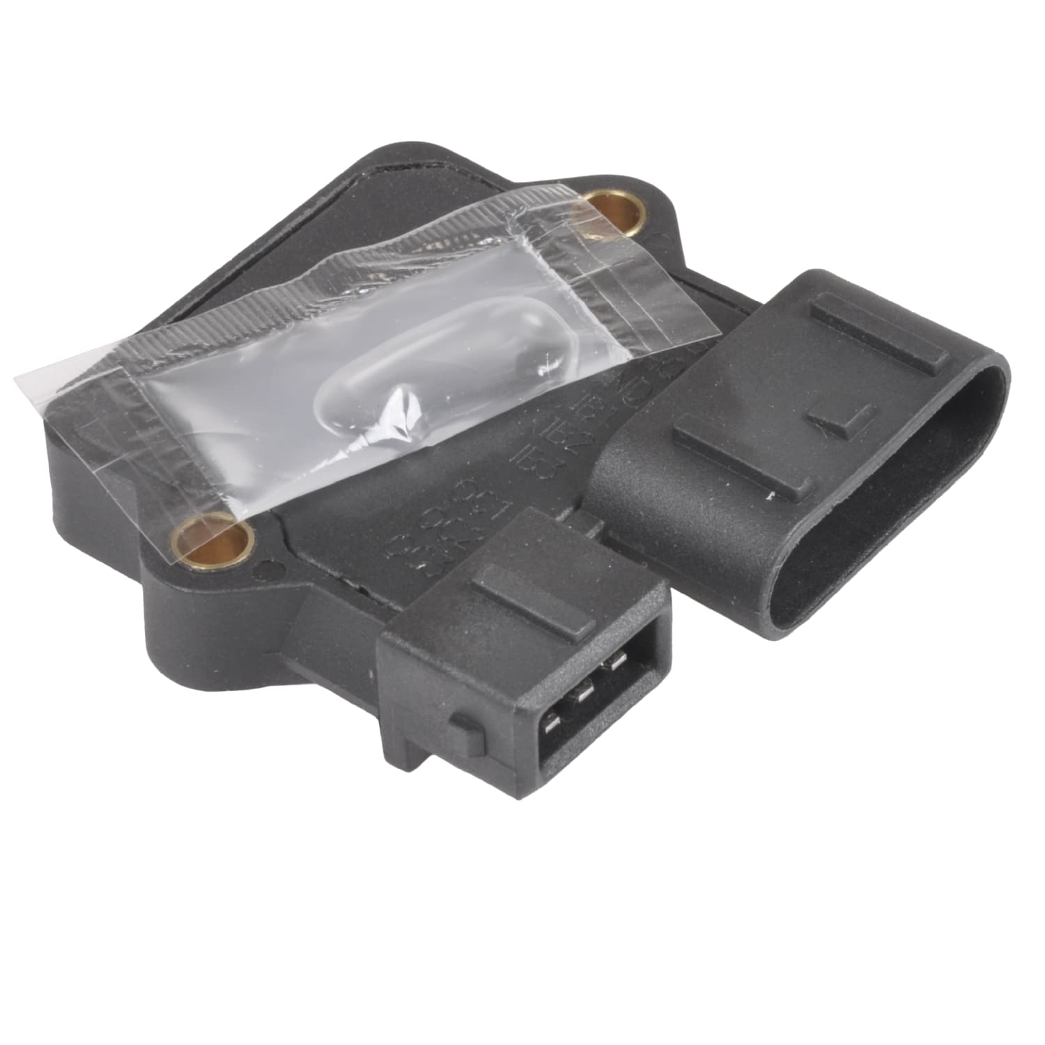 ADC41495_1.jpg