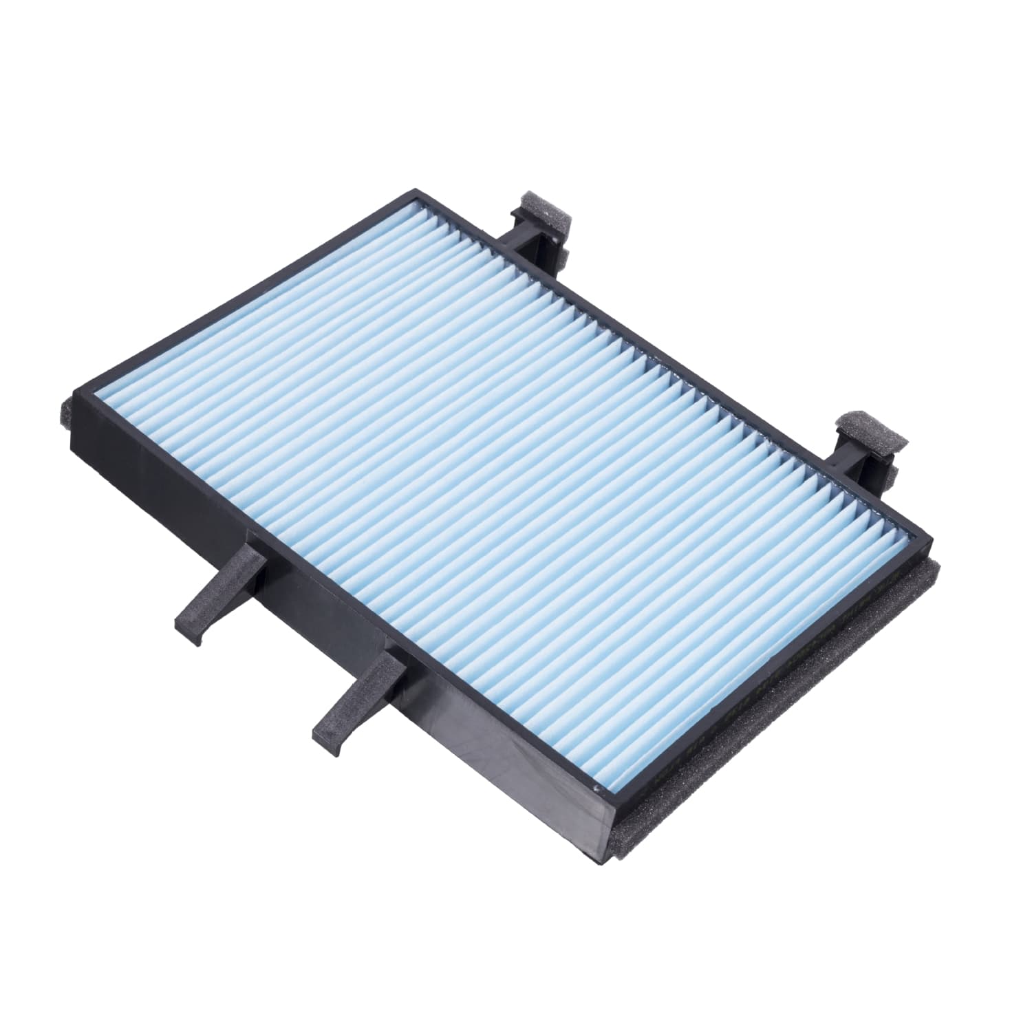 ADC42504_1.jpg