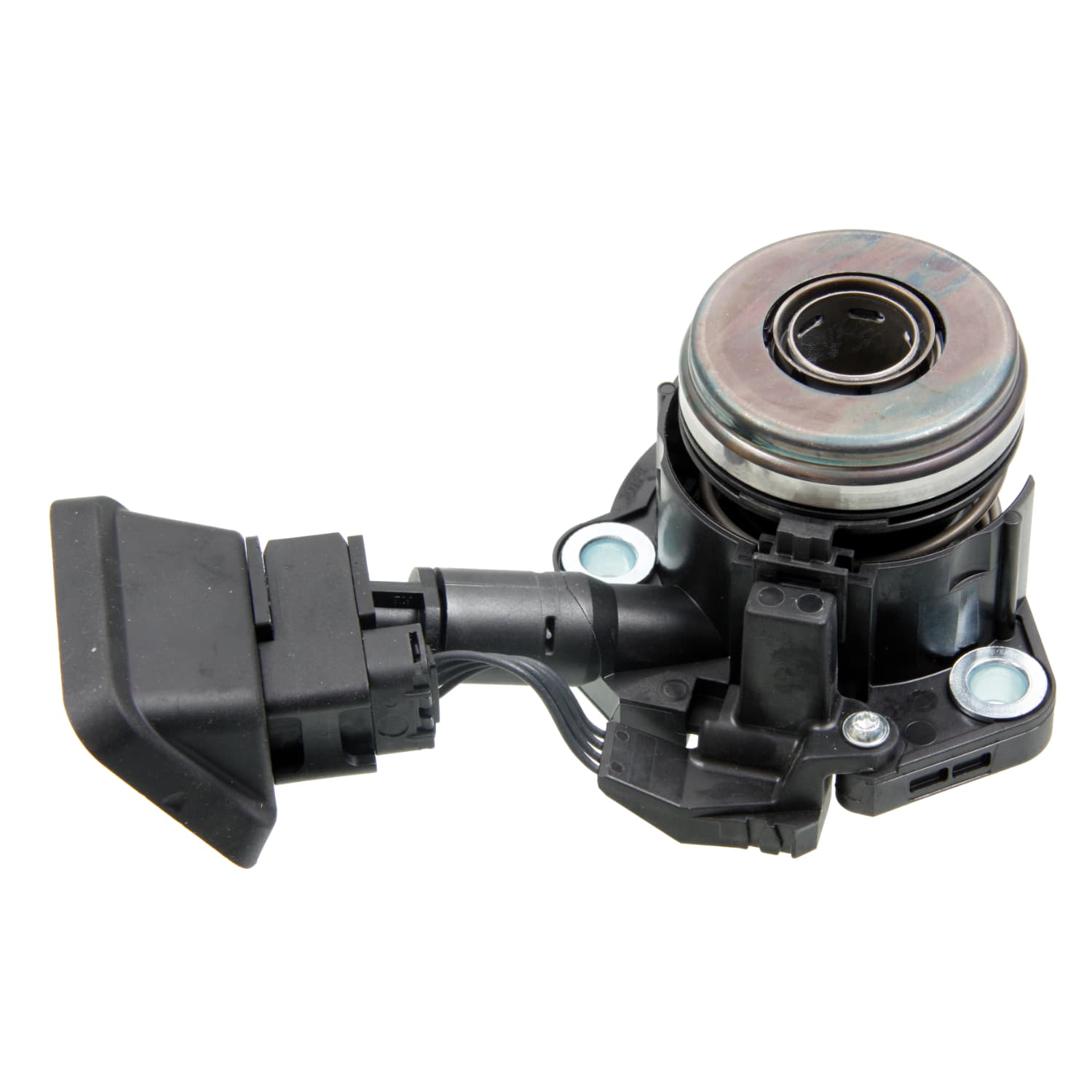 ADBP360011_1.jpg