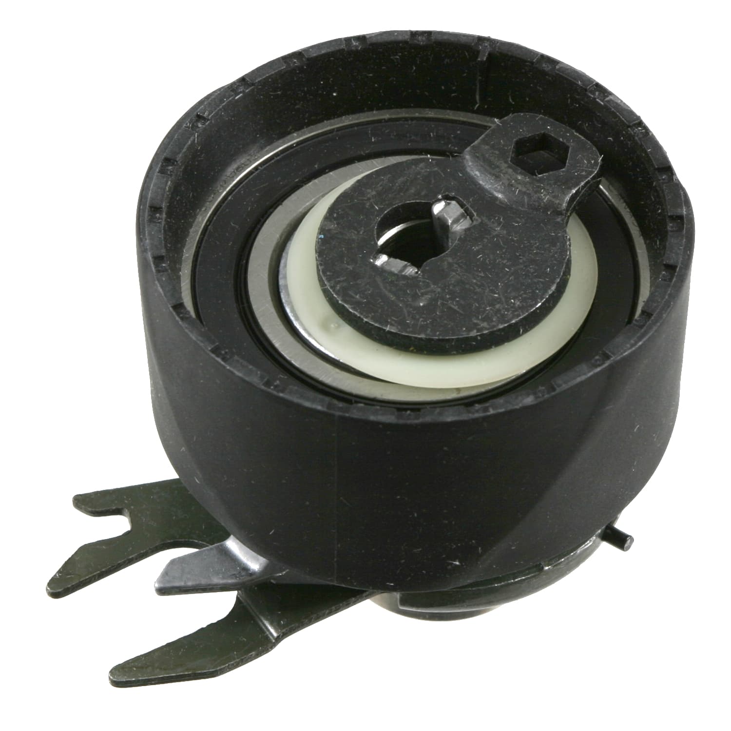 21764_1.jpg