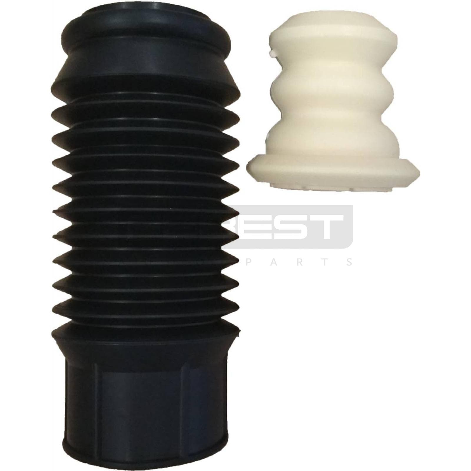 TSHB-14-PP.jpg