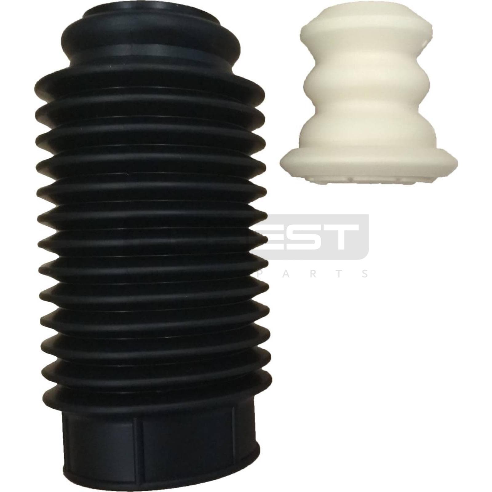 TSHB-16-PP.jpg