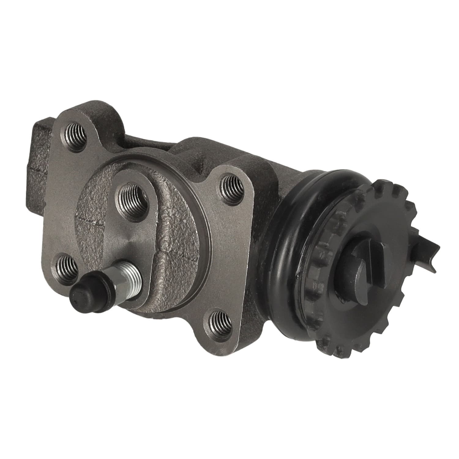 ADBP440012_1.jpg