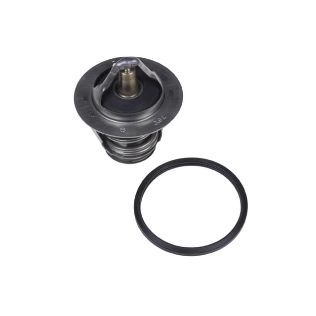 ADT39218_1.jpg