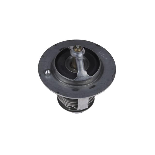 ADT39210_1.jpg
