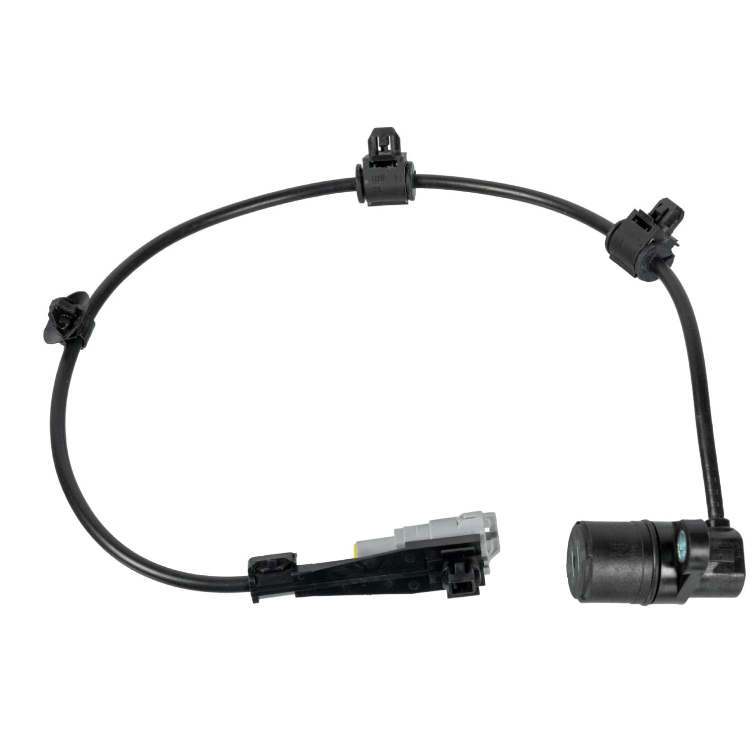 ADBP710069_1.jpg