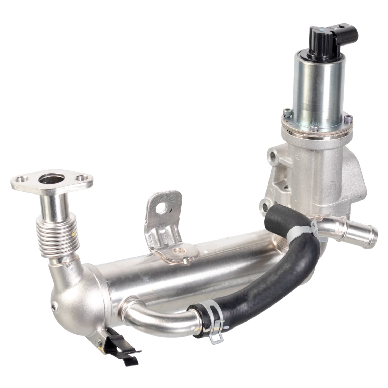 ADBP720023_1.jpg